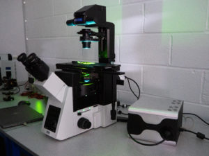 Amora modular Illumination System on a microscope